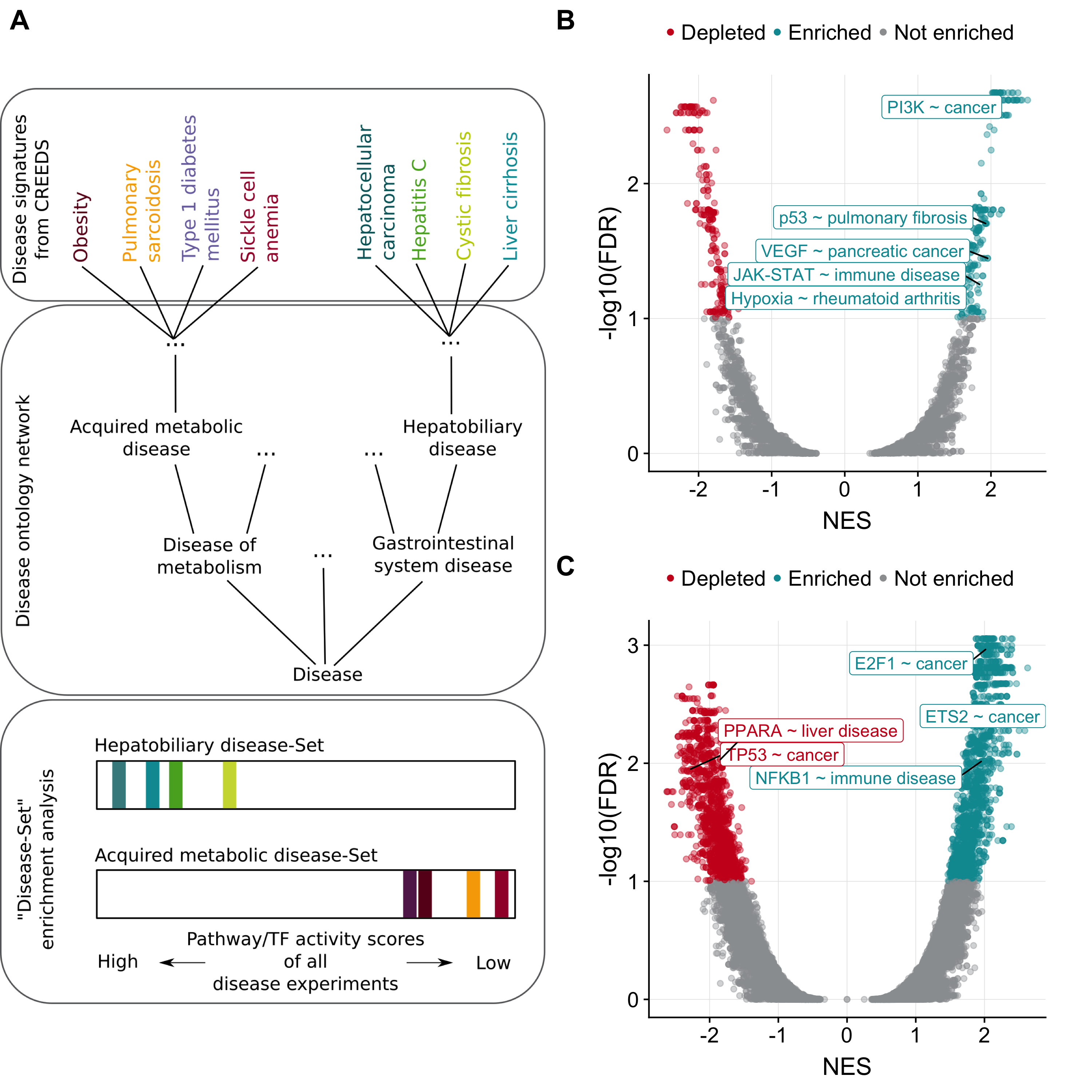 Pathway/TF-disease associations. (A) Framework of gene set enrichment adapted for ‘disease set’ enrichment. The disease sets are created based on a disease ontology network. Each node in the network represents a disease set. CREEDs diseases which are the node itself or descendants of a node are considered as corresponding disease set members. To perform the enrichment PROGENy and DoRothEA activity levels are ranked separately and checked whether a disease set is enriched either at the top or at the bottom of the ranked list. (B, C) Volcano plots showing separately for pathways and TFs the outcome of disease set enrichment. Selected associations are labelled.