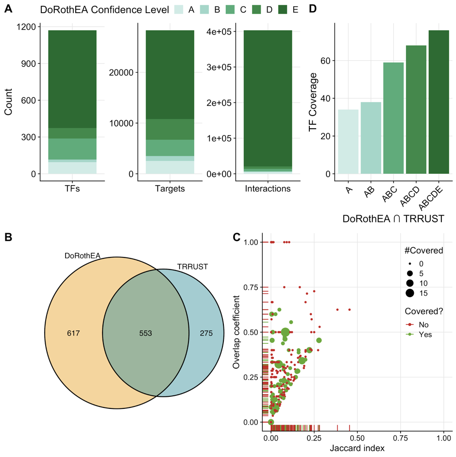 (A) Mouse-DoRothEA properties showing number of transcription factors (TF), targets, and interactions itemized by confidence level. (B) Overlap of TFs between mouse-DoRothEA and TRRUST. (C) Similarity analysis of target genes for each overlapping TF between mouse-DoRothEA and TRRUST. Jaccard index and overlap coefficient were used to quantify similarity. Color and size indicate if and how often the TF was covered in the benchmark data. (D) Number of TFs covered in the benchmark dataset by intersection of mouse-DoRothEA and TRRUST dependent of the TF-confidence level.