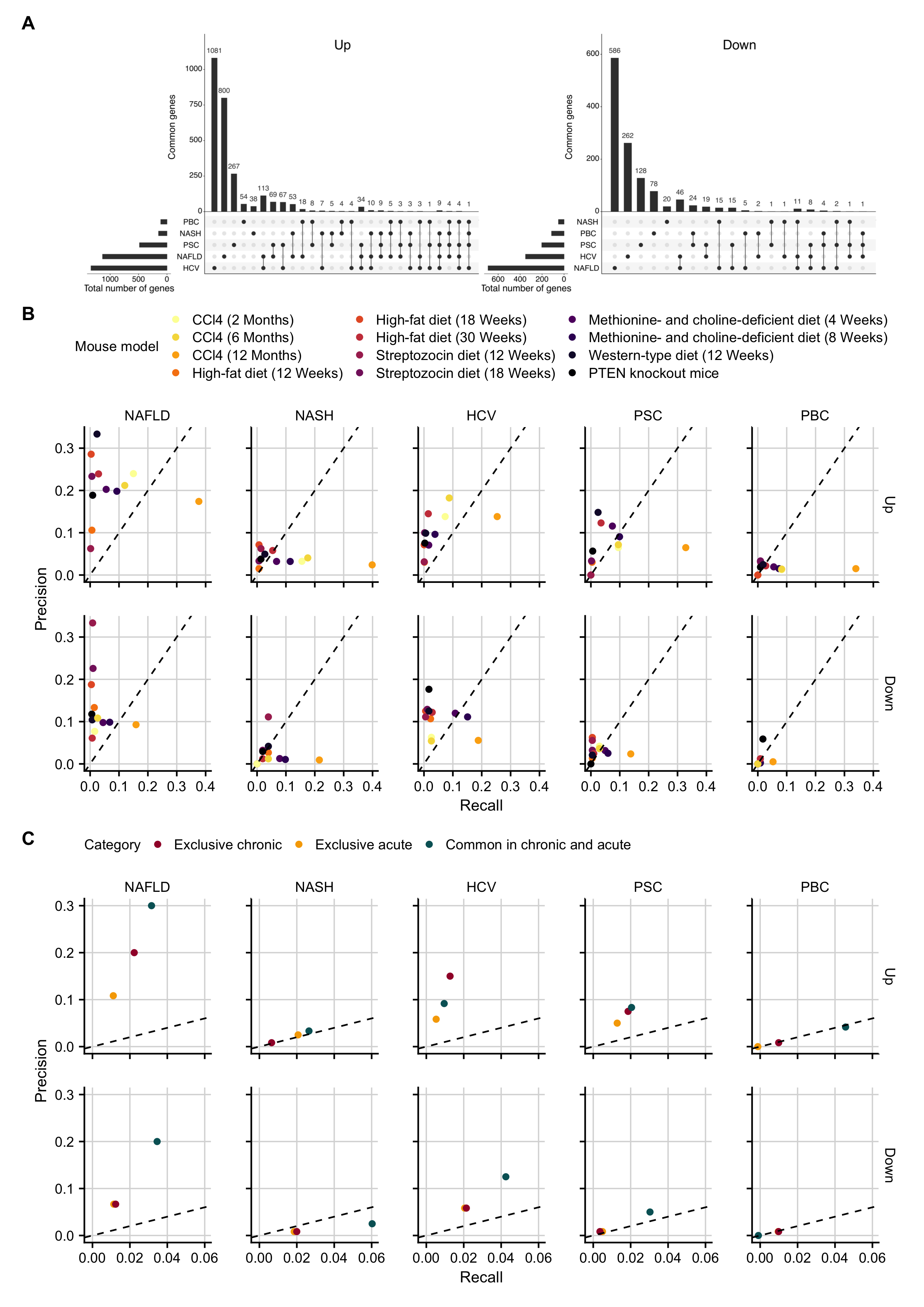 Recall and precision of 12 individual mouse models with respect to the human liver diseases NAFLD, NASH, HCV, PBC, and PSC. A. Gene sets that are uniquely or commonly deregulated in individual human diseases. B. Recall and precision of the individual mouse models with respect to the five human liver diseases. All genes with FDR <= 0.05 and |logFC| >= log2(1.5) were included. C. Comparison of exclusive chronic, exclusive acute and common genes in acute and chronic mouse models to human data. To allow a direct comparison, the top 120 genes of each category were included.