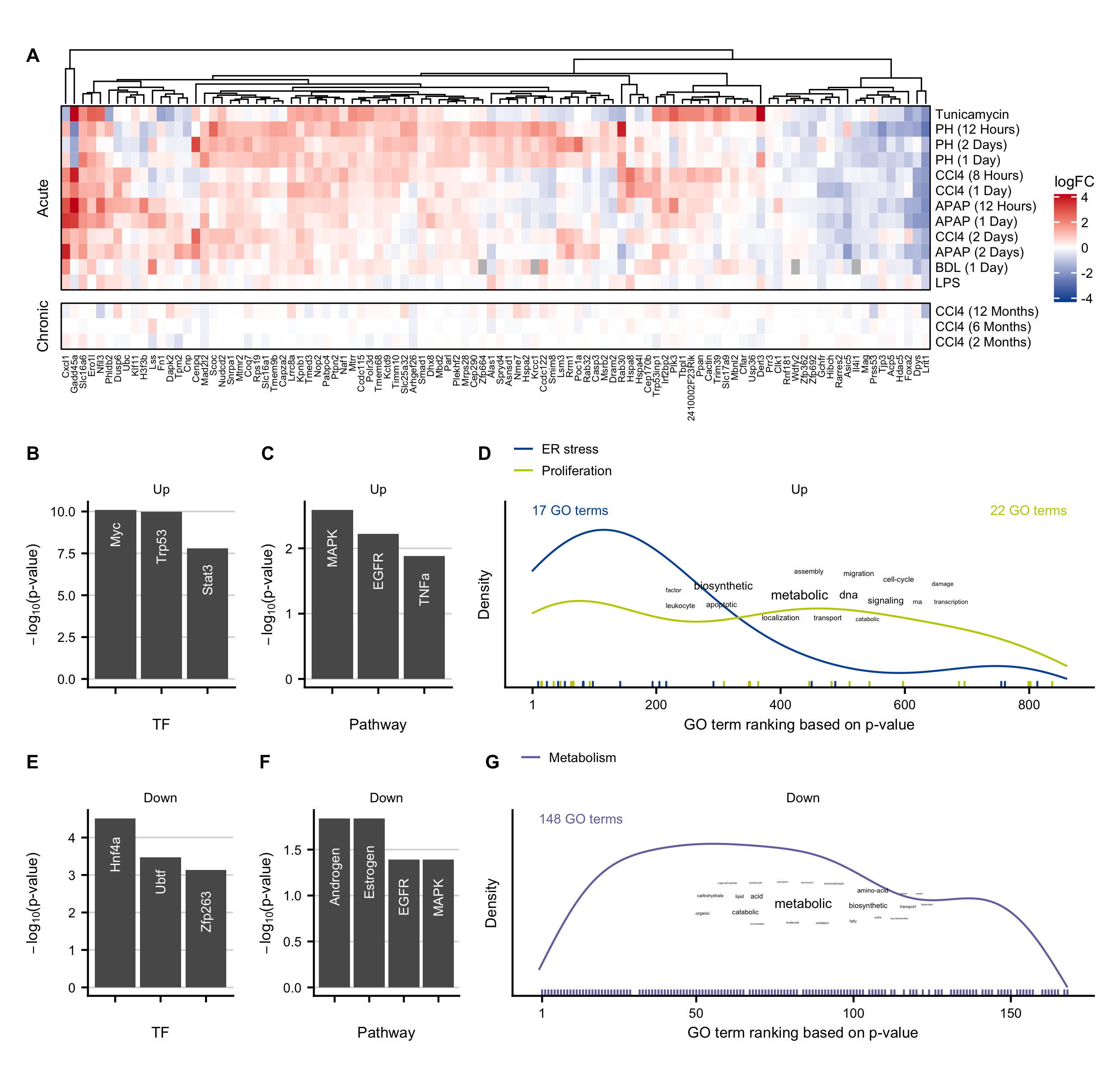 Characterization of exclusive acute genes. A. Heatmap of top 100 exclusive acute genes. B-D. Overrepresented transcription factors identified by DoRothEA (B), pathways obtained by PROGENy (C), and GO terms (D) in the upregulated exclusive acute genes. E-F. Same as B-D but for the downregulated exclusive acute genes.