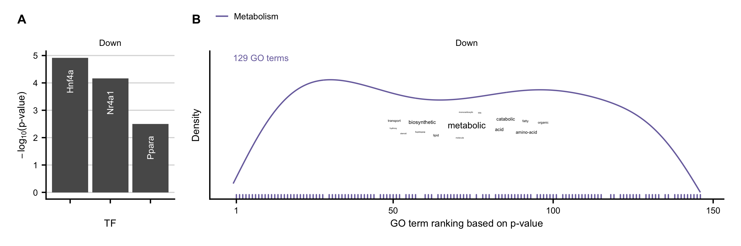 A-B Overrepresented transcription factors identified by DoRothEA (A), and GO terms (B) in the set of commonly downregulated genes in acute and chronic mouse models.