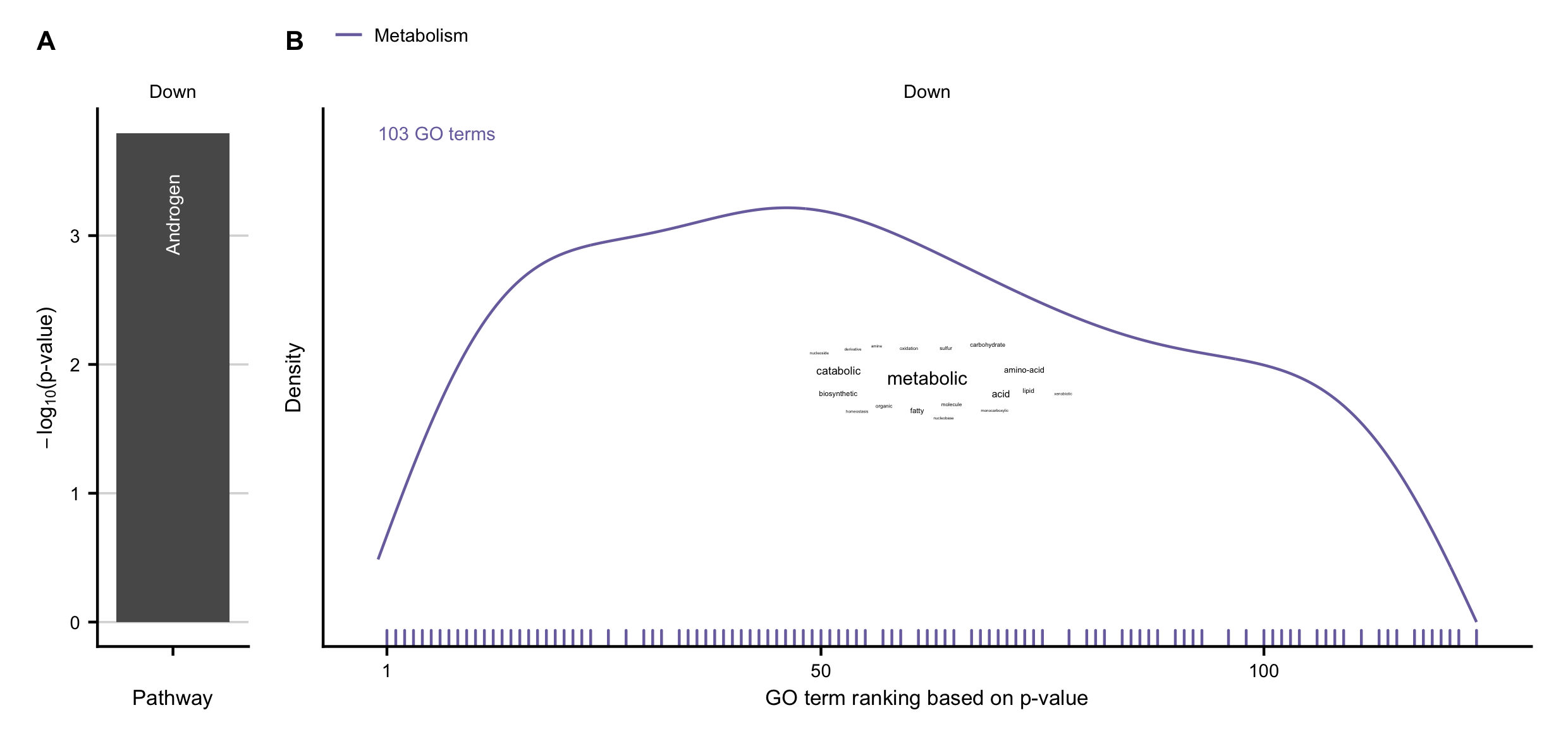 A-B Overrepresented pathways obtained by PROGENy (A), and GO terms (B) in the set of consistently downregulated genes between human and mouse.