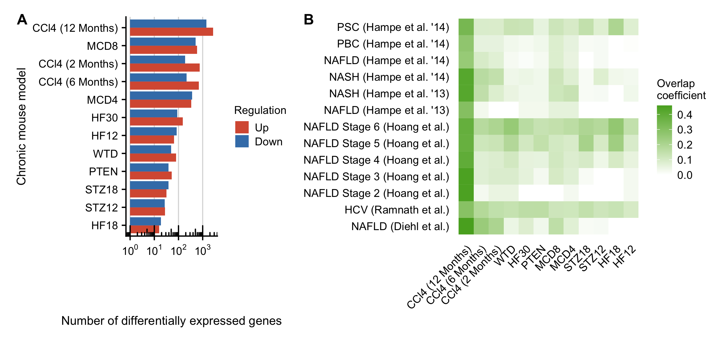 A. Number of deregulated genes for the chronic CCl~4~ mouse models complemented by 9 additional publicly available mouse models of chronic liver diseases. B Similarity of the significantly deregulated genes between all chronic mouse models and the human data. Similarity is computed as overlap coefficient.