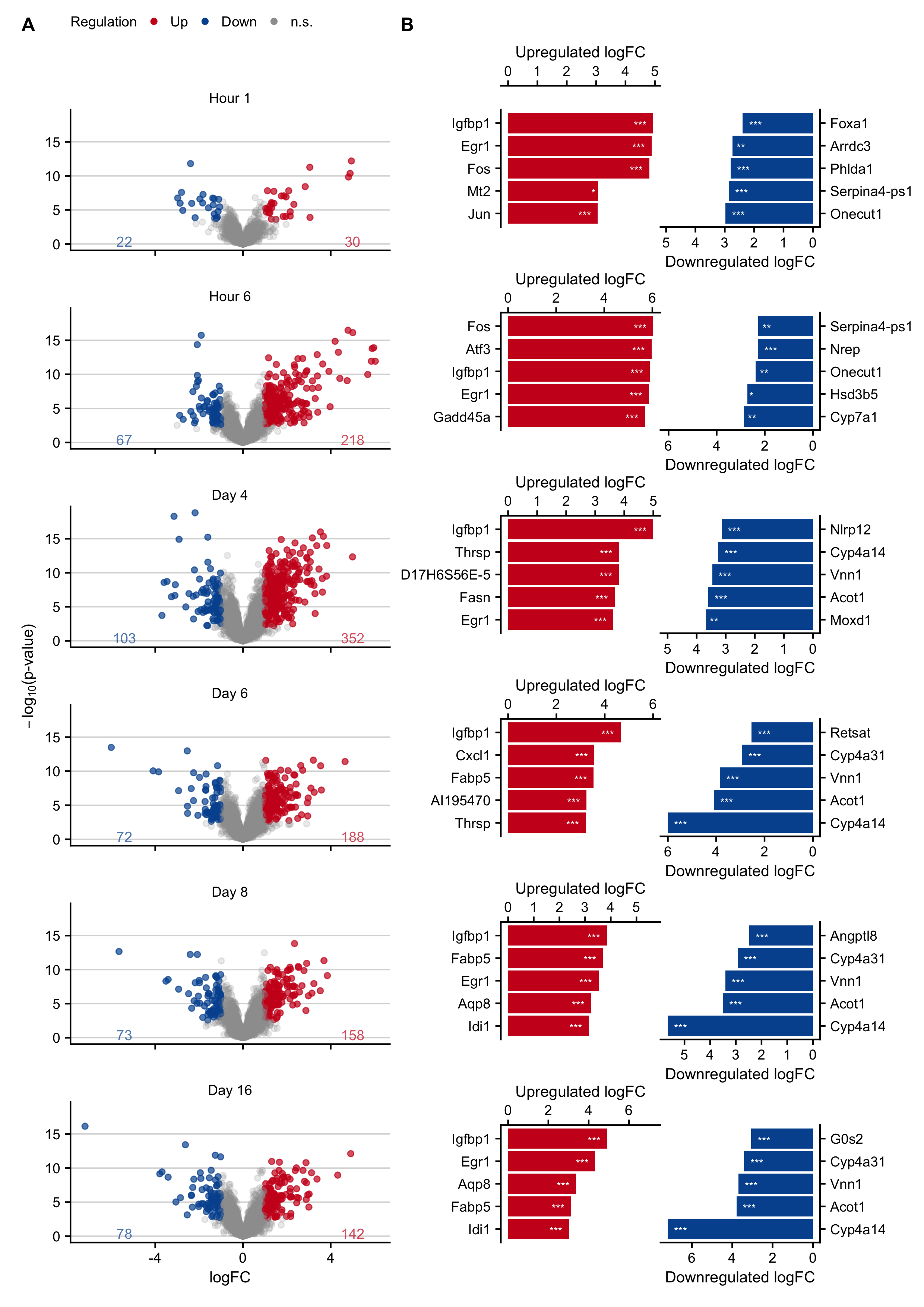 Expression changes in an acute liver damage mouse model following a single administration of 300 mg/kg b.w. acetaminophen (APAP). A. Volcano plots at hours 1 and 6, and on days 4, 6, 8, 16 after APAP administration. B. Genes with the highest log-fold changes.