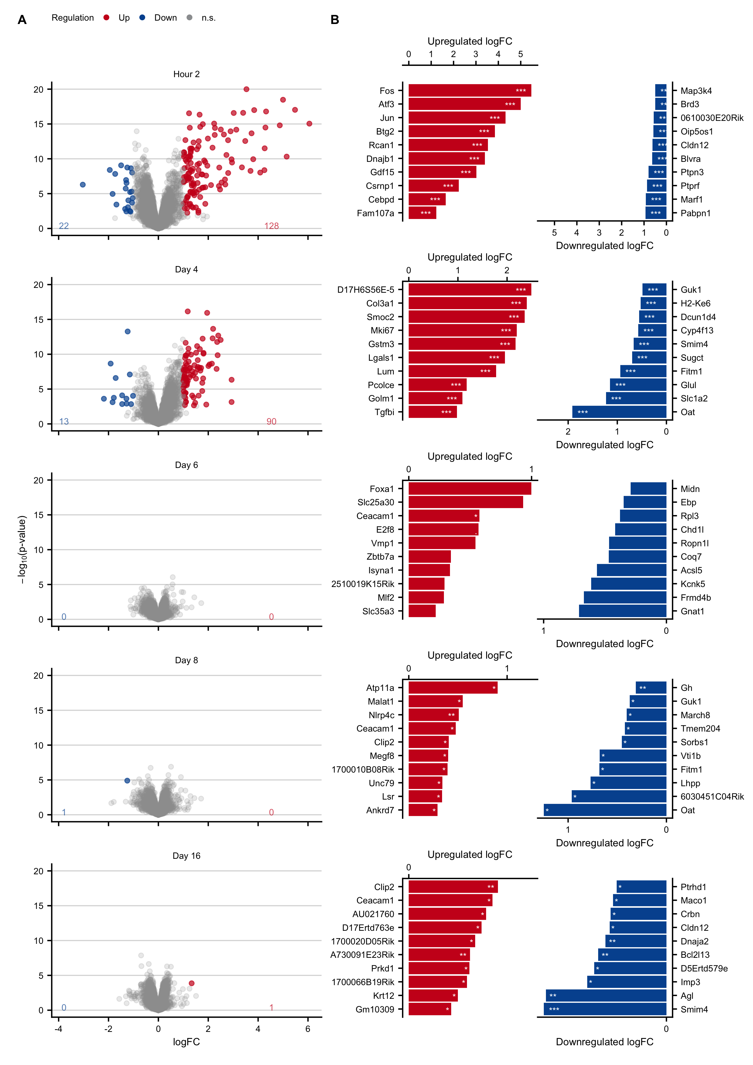 Expression changes in an acute liver damage mouse model following a single administration of CCl~4~. A. Volcano plots at 2 hours and on days 4, 6, 8, 16 after CCl~4~ administration. B. Genes with the highest log-fold changes.