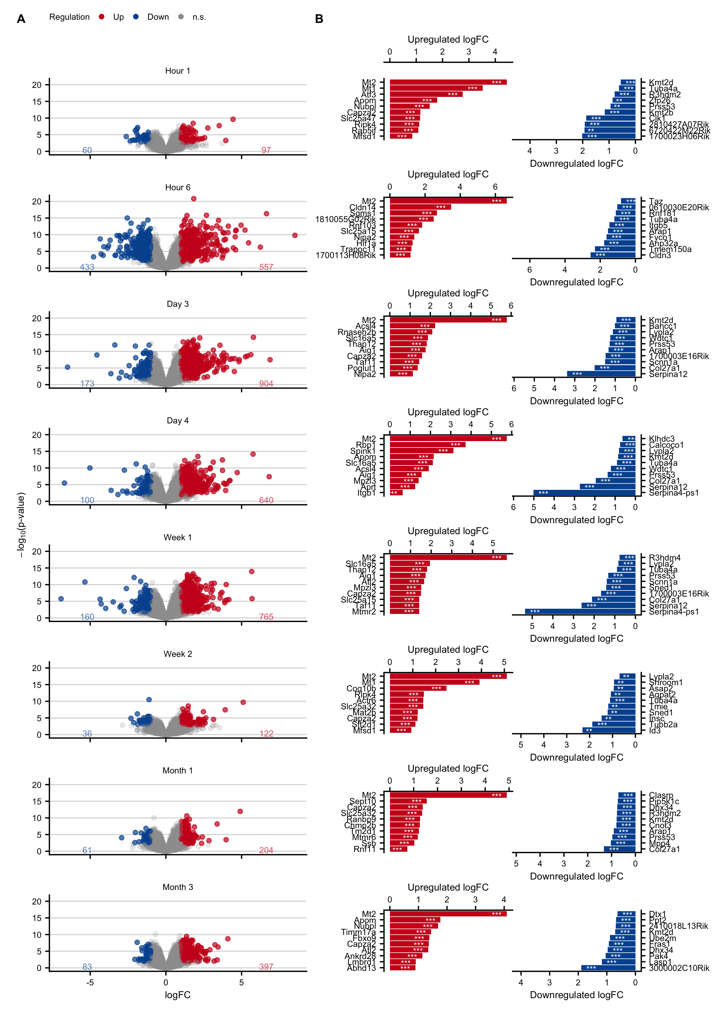 Characterization and expression changes of mouse liver tissue after two-third hepatectomy. A. Volcano plots at hours 1 and 6, and on days 3 and 4, weeks 1 and 2, and months 1 and 3 after partial hepatectomy. B. Genes with the highest log-fold changes.