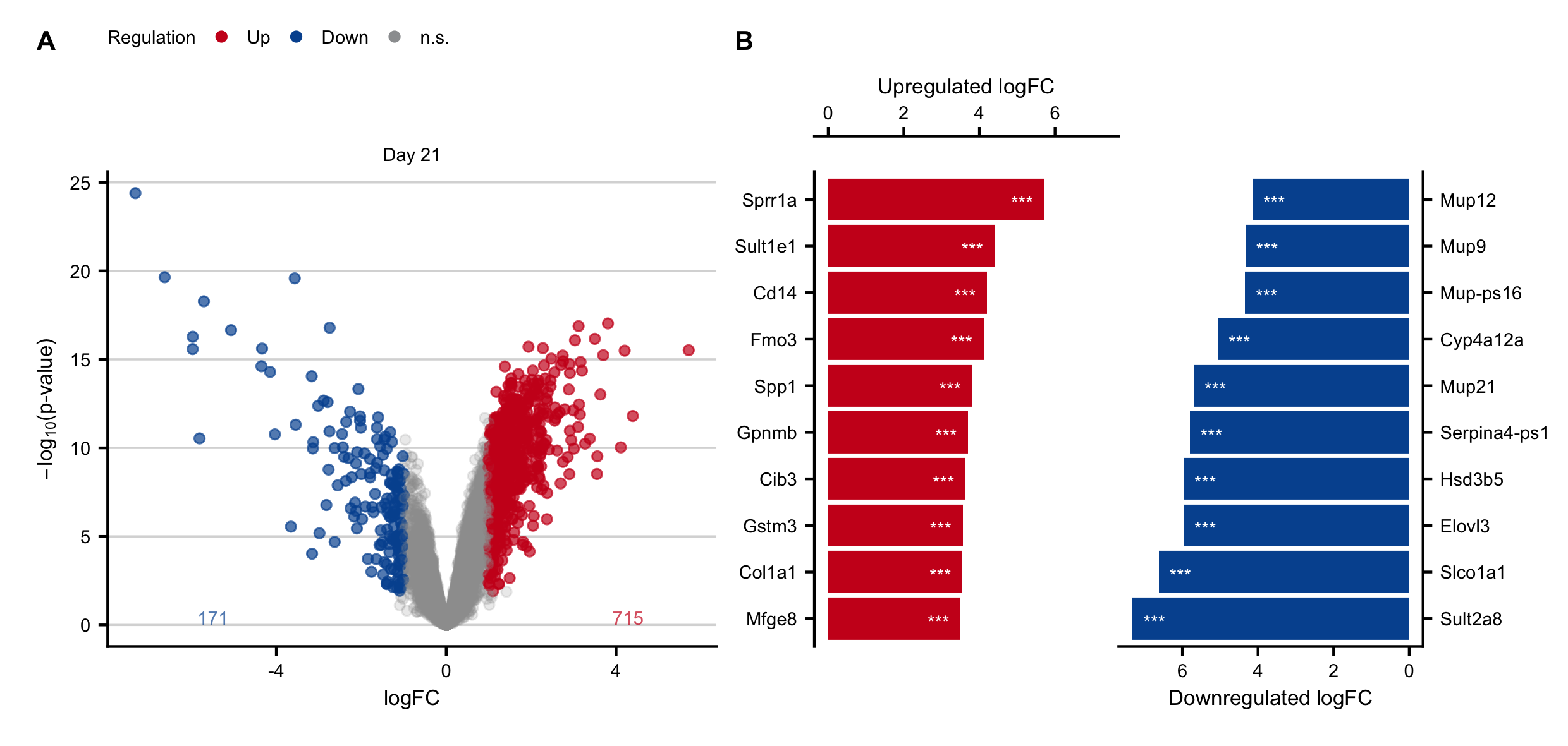 Expression changes in the chronic stage after induction of obstructive cholestasis by bile duct ligation (BDL). A. Volcano plots on day 21 after BDL. B. Genes with the highest log-fold changes.