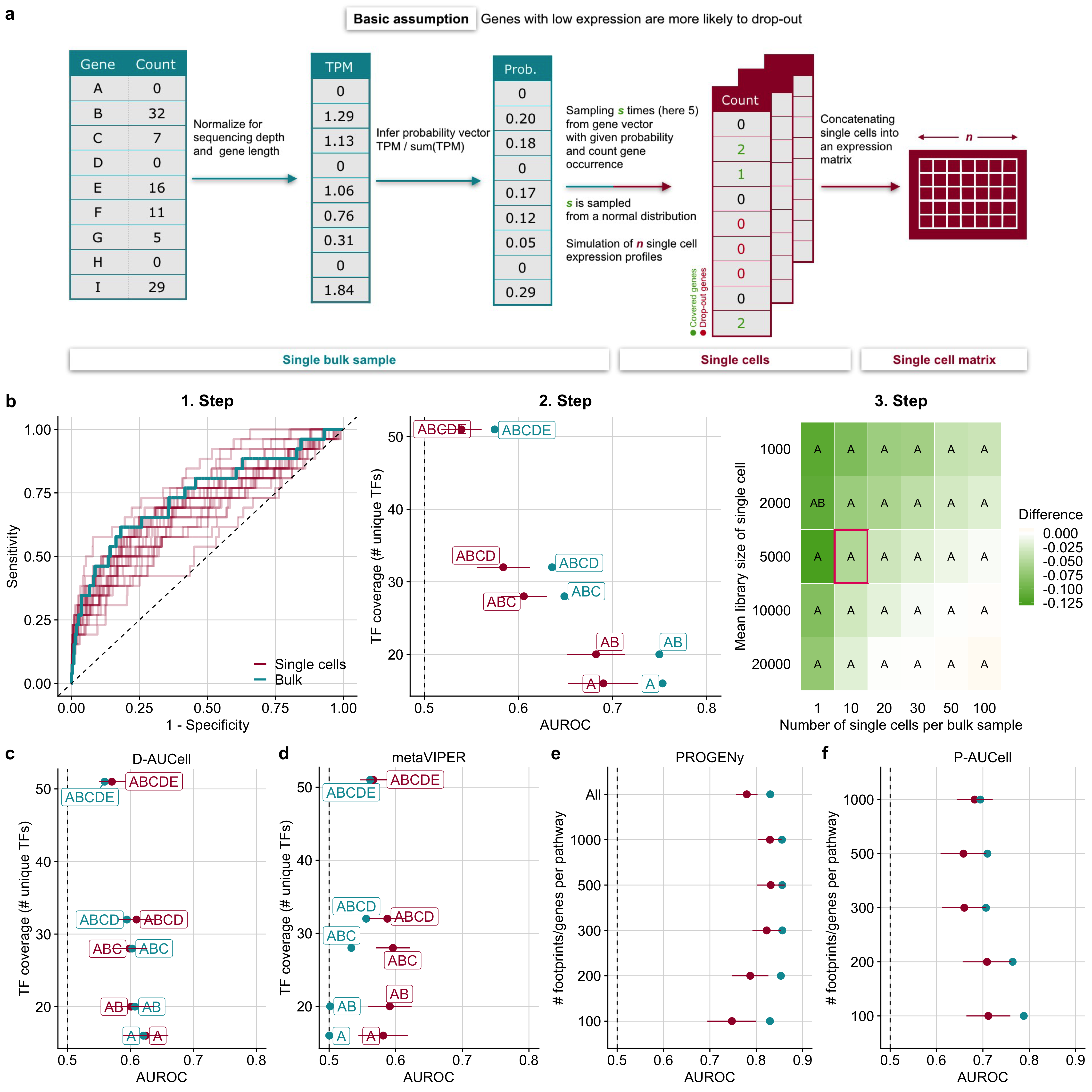 Benchmark results of TF and pathway analysis tools on simulated scRNA-seq data. a Simulation strategy of single cells from an RNA-seq bulk sample. b Example workflow of DoRothEA’s performance evaluation on simulated single cells for a specific parameter combination (number of cells=10, mean library size=5000). 1. Step: ROC-curves of DoRothEA’s performance on single cells (25 replicates) and on bulk data including only TFs with confidence level A. 2. Step: DoRothEA performance on single cells and bulk data summarized as AUROC vs TF coverage. TF coverage denotes the number of distinct perturbed TFs in the benchmark dataset that are also covered by the gene set resource. Results are provided for different combinations of DoRothEA’s confidence levels (A, B, C, D, E). Error bars of AUROC values depict the standard deviation and correspond to different simulation replicates. Step 3: Averaged difference across all confidence level combinations between AUROC of single cells and bulk data for all possible parameter combinations. The letters within the tiles indicates which confidence level combination performs the best on single cells. The tile marked in red corresponds to the parameter setting used for previous plots (Steps 1 and 2). c D-AUCell and d metaVIPER performance on simulated single cells summarized as AUROC for a specific parameter combination (number of cells=10, mean library size=5000) and corresponding bulk data vs TF coverage. e, f Performance results of e PROGENy and f P-AUCell on simulated single cells for a specific parameter combination (number of cells=10, mean library size=5000) and corresponding bulk data in ROC space vs number of footprint genes per pathway. b–f The dashed line indicates the performance of a random model.