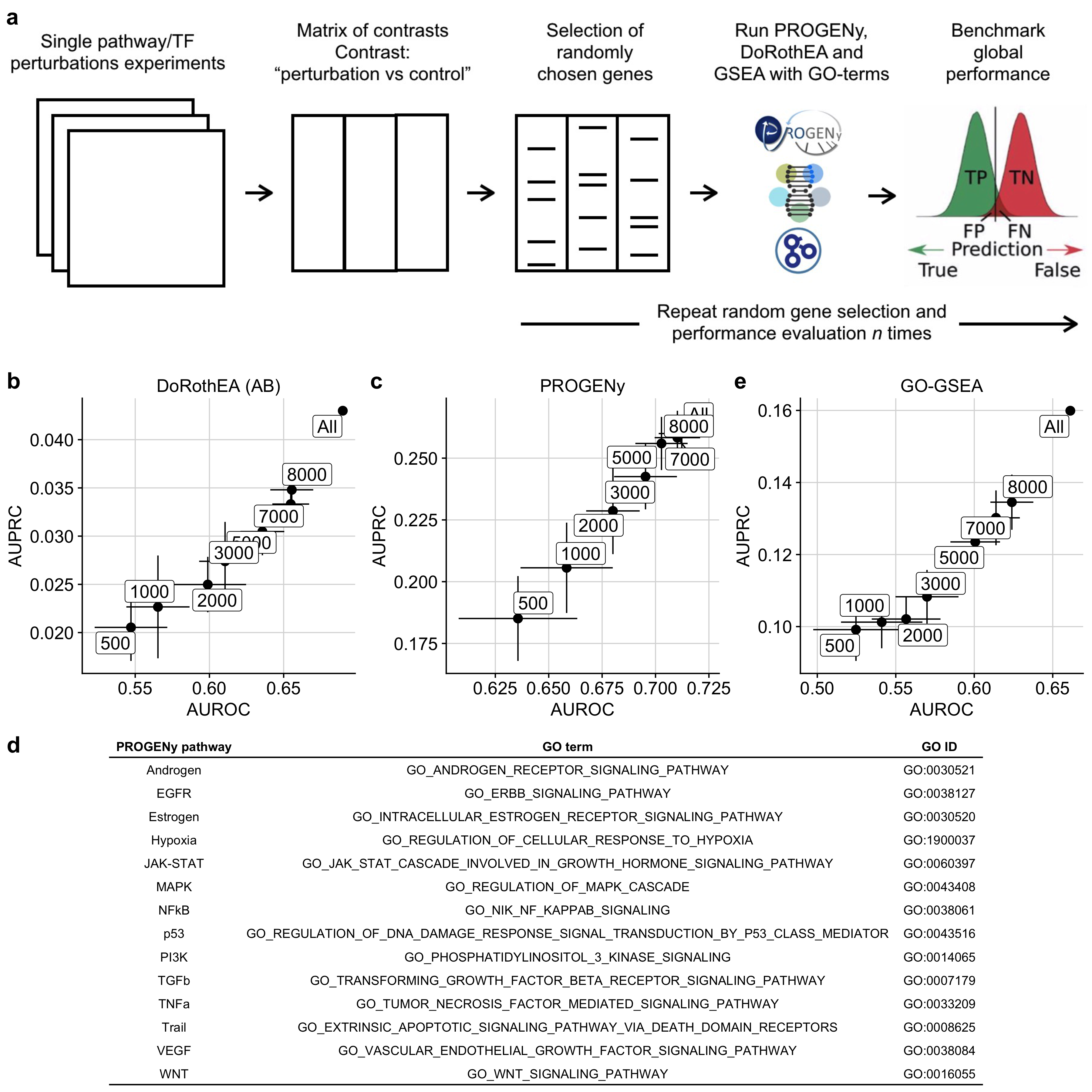 a Workflow to induce low gene coverage with a subsequent benchmark of the tools PROGENy, DoRothEA and GO-GSEA against low gene coverage. b,c,e Scatterplot showing how well AUROC and AUPRC of b DoRothEA (AB), c PROGENy with 100 footprint genes per pathway, and GO-GSEA are correlated. The labels correspond to the gene coverages. d Mapping table between PROGENy pathways and GO terms/GO IDs.