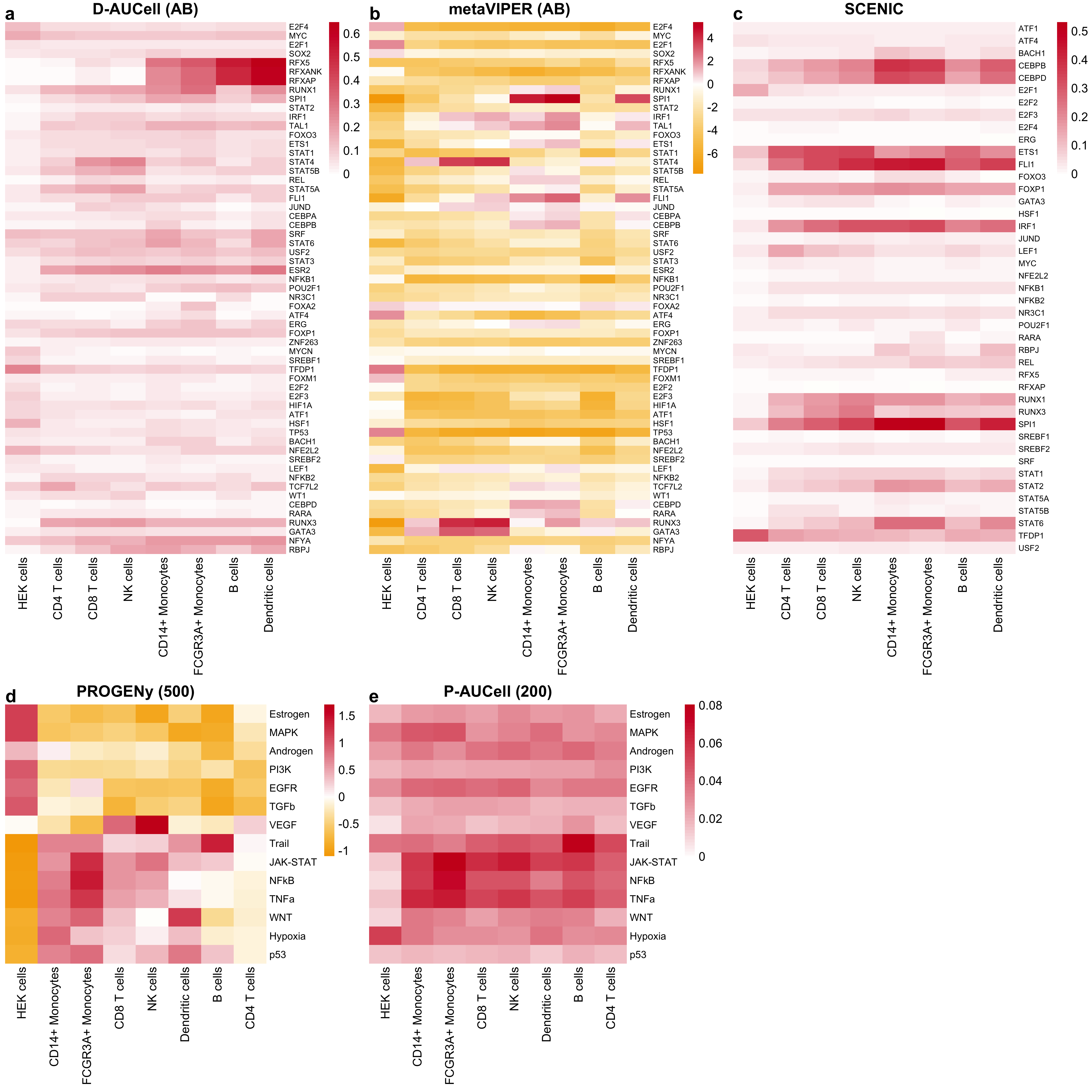 Selected TF and pathway activities of various tools inferred from the Quartz-Seq2 gene expression data summarized for each cell type/cell line separately. The letters in the brackets correspond to DoRothEA’s confidence levels and the numbers in brackets correspond to the number of footprint genes per pathway.